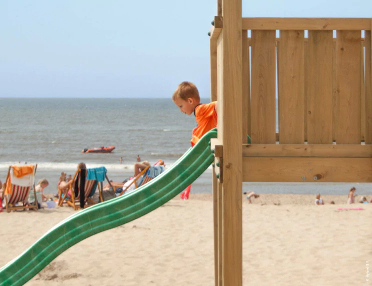 Wooden Professional Jungle Gym with Swing • Hy-land P8s Wooden Professional Jungle Gym with Swing • Hy-land P8s